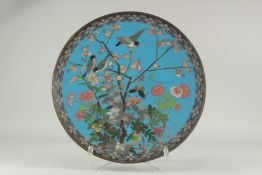 A LARGE BLUE GROUND CLOISONNE CHARGER, decorated with birds, butterfly and flora, 45.5cm diameter.