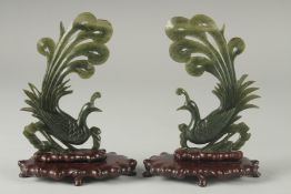 A PAIR OF CHINESE CARVED SPINACH GREEN JADE PEACOCKS ON ORIGINAL WOODEN STANDS, 18cm high.