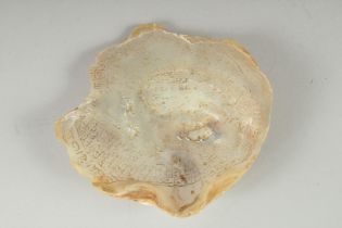 AN 18TH-19TH CENTURY OTTOMAN ENGRAVED CALLIGRPAHIC MOTHER OF PEARL SHELL, 15cm x 15.5cm.