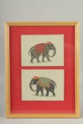 TWO 19-20TH CENTURY INDIAN PAINTINGS OF ELEPHANTS, framed and glazed together, each painting 14cm