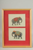 TWO 19-20TH CENTURY INDIAN PAINTINGS OF ELEPHANTS, framed and glazed together, each painting 14cm