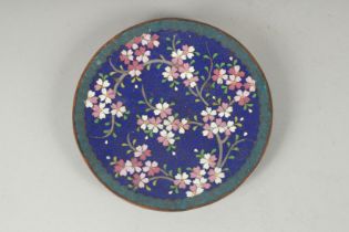 A CHINESE CLOISONNE DISH.