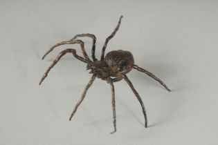 A JAPANESE BRONZE OKIMONO OF A SPIDER.