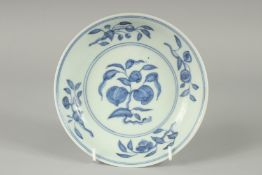 A CHINESE BLUE AND WHITE PORCELAIN DISH, painted with peaches, base with six-character Ming mark,