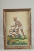 A LARGE EARLY 19TH CENTURY INDIAN WATERCOLOUR PAINTING, framed and glazed, image 38.5cm x 25cm.