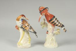 A PAIR OF PORCELAIN EXOTIC BIRDS on tree stumps. 9ins & 7.5ins high.