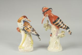 A PAIR OF PORCELAIN EXOTIC BIRDS on tree stumps. 9ins & 7.5ins high.