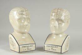 A PAIR OF PORCELAIN PHENOLOGY HEADS. 12ins high.