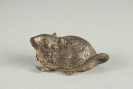 A SMALL BERGMAN COLD PAINTED BRONZE RAT. Signed: DESCHULTZ, DEPOSE, 406 - 6.2in long
