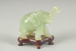 A SMALL JADE ELEPHANT on a wooden stand. 2.5ins high..