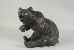 A SUPERB 19TH CENTURY BLACK FOREST CARVED WOOD SEATED BEAR. 11ins high.