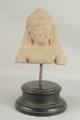 A CARVED STONE ANTIQUITY HEAD on a circular stand. Head, 10ins high.