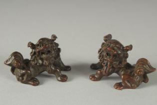 A SMALL PAIR OF BRONZE DOGS OF FOE. 4cm each.