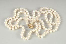 A VERY GOOD DOUBLE STRING OF PEARLS with gold clasp. 42ins long.