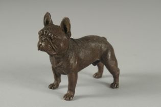 A BRONZE STANDING BULL DOG.