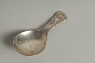 A WILLIAM IV SILVER SHELL TOP CADDY SPOON London 1834.