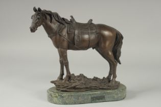 A BRONZE OF A HORSE with saddle. 9ins long on a shaped base.