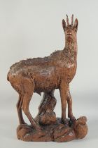 A SUPERB 19TH CENTURY BLACK FOREST CARVING OF A MOUNTAIN GOAT standing alert on a rocky base.