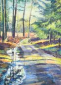 Maureen Davies, 'Winter Track', a track through a woodland glade, pastel, signed in pencil, 32" x