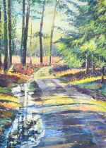 Maureen Davies, 'Winter Track', a track through a woodland glade, pastel, signed in pencil, 32" x