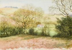 Sheila Sanford, (20th Century) British, A valley view with a lone cottage, watercolour, signed, 4.
