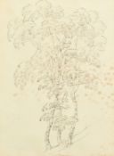 Barker of Bath, a set of five ink drawings of trees, all signed and inscribed, each around 12" x