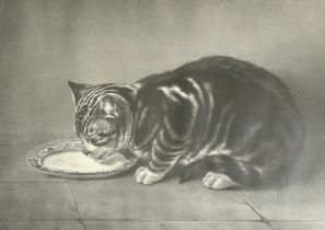 Marin Lavigne after Burbank, 'Le Gourmand / The Glutton', lithograph, image size 14.25" x 20.75" (37
