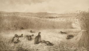Archibald Thorburn (1860-1935), game birds nestled in a field, photogravure, signed in pencil, image
