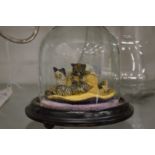 A small amusing group of cats under a glass dome.