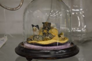 A small amusing group of cats under a glass dome.