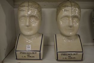 A pair of reproduction Phrenology heads.