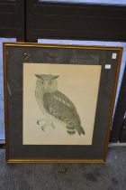 A print depicting an owl.