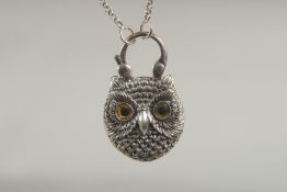 A silver owl padlock and chain in a box.