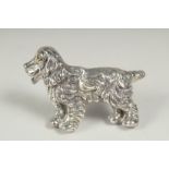 A silver curly dog brooch in a box.
