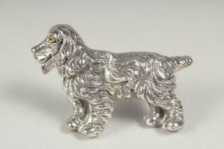 A silver curly dog brooch in a box.