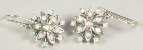 A pair of silver opal cluster earrings in a box.