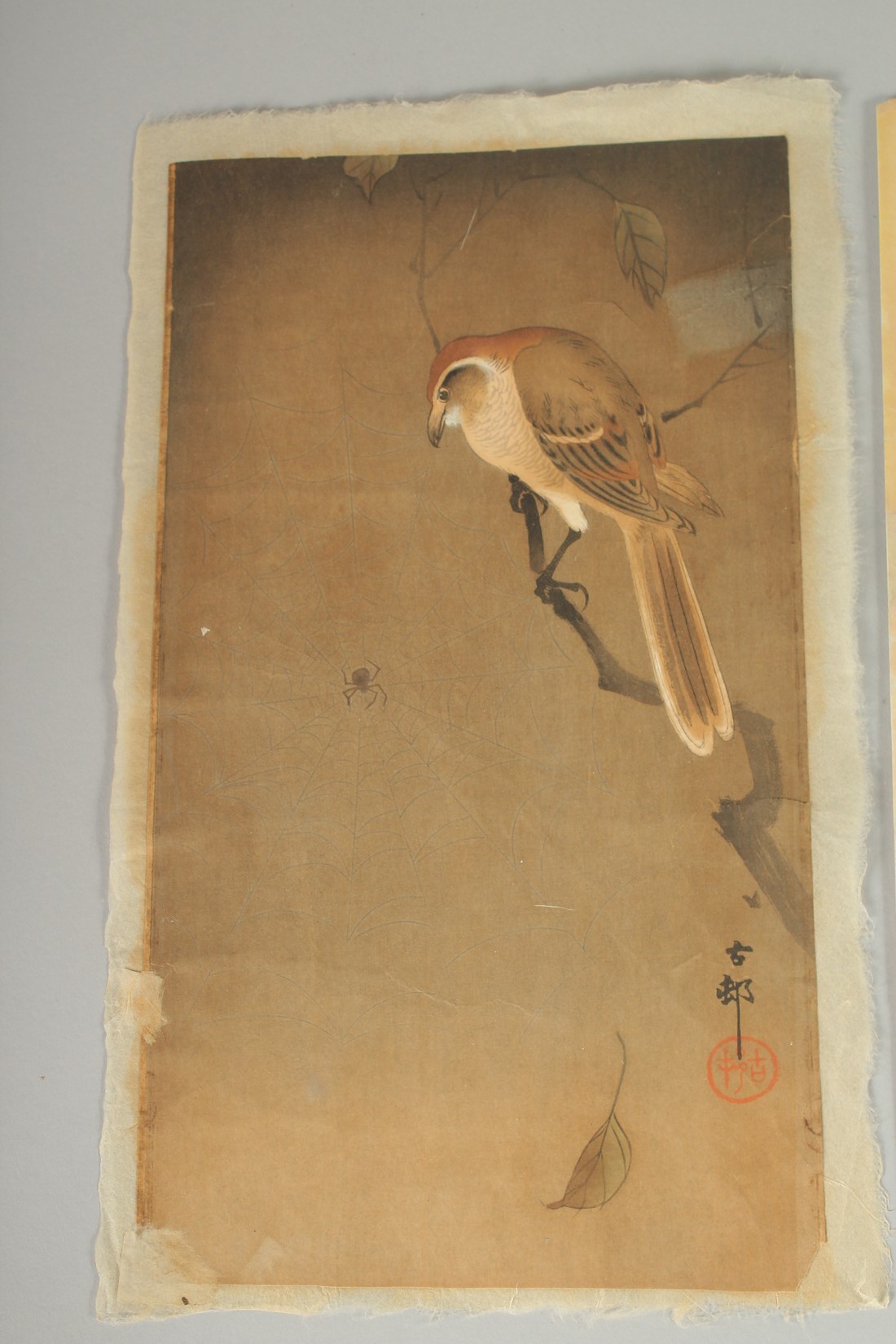 KOSON OHARA (1877-1945): BIRDS AND FLOWERS, two early 20th century original Japanese woodblock - Image 2 of 3