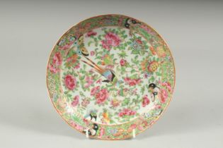 A FINE CHINESE CANTON FAMILLE ROSE PORCELAIN PLATE, decorated with painted enamels depciting