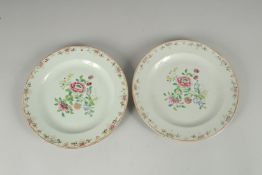 A PAIR OF 19TH CENTURY CHINESE FAMILLE ROSE PORCELAIN PLATES, 23cm diameter.