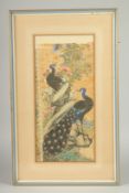 A FINE CHINESE GOUACHE PAINTING ON SILK, depicting peacocks with gilt highlights, framed and glazed,