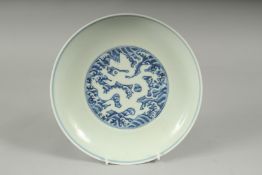 A CHINESE BLUE AND WHITE PORCELAIN DRAGON PLATE, with incised white dragon on stylised waves, six-