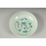 A SMALL CHINESE DOUCAI PORCELAIN SAUCER DISH, painted with grapes, character mark to base, 9cm