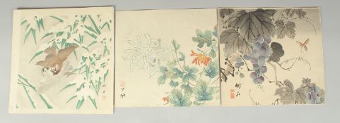 CHIKUSEKI YAMAMOTO (1881- ?): BIRDS AND FLOWERS; three early 20th century original Japanese