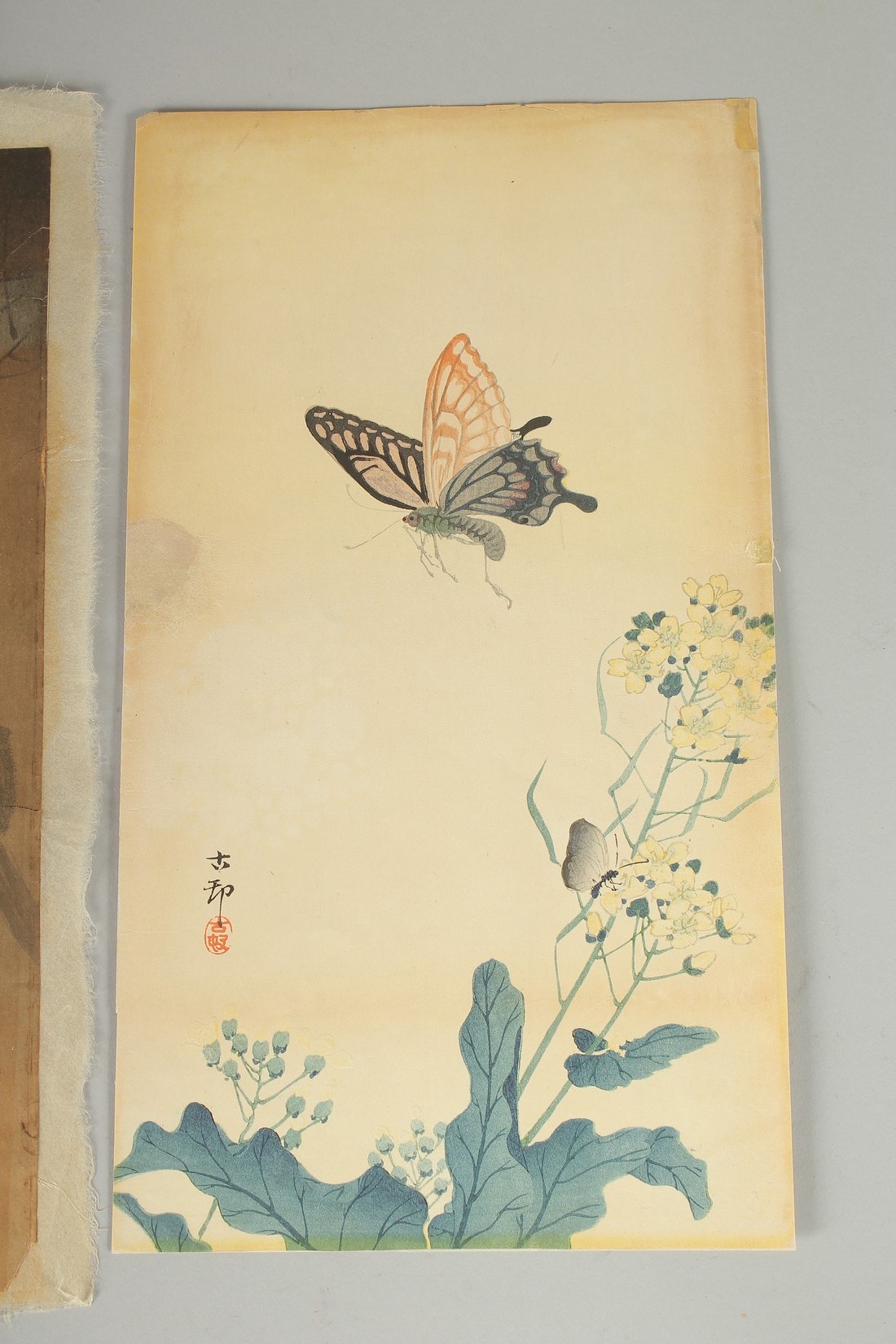 KOSON OHARA (1877-1945): BIRDS AND FLOWERS, two early 20th century original Japanese woodblock - Image 3 of 3