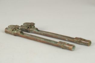 A PAIR OF JAPANESE BRONZE PAPERWEIGHTS, with an insect on bamboo, the underside with mark, 19cm