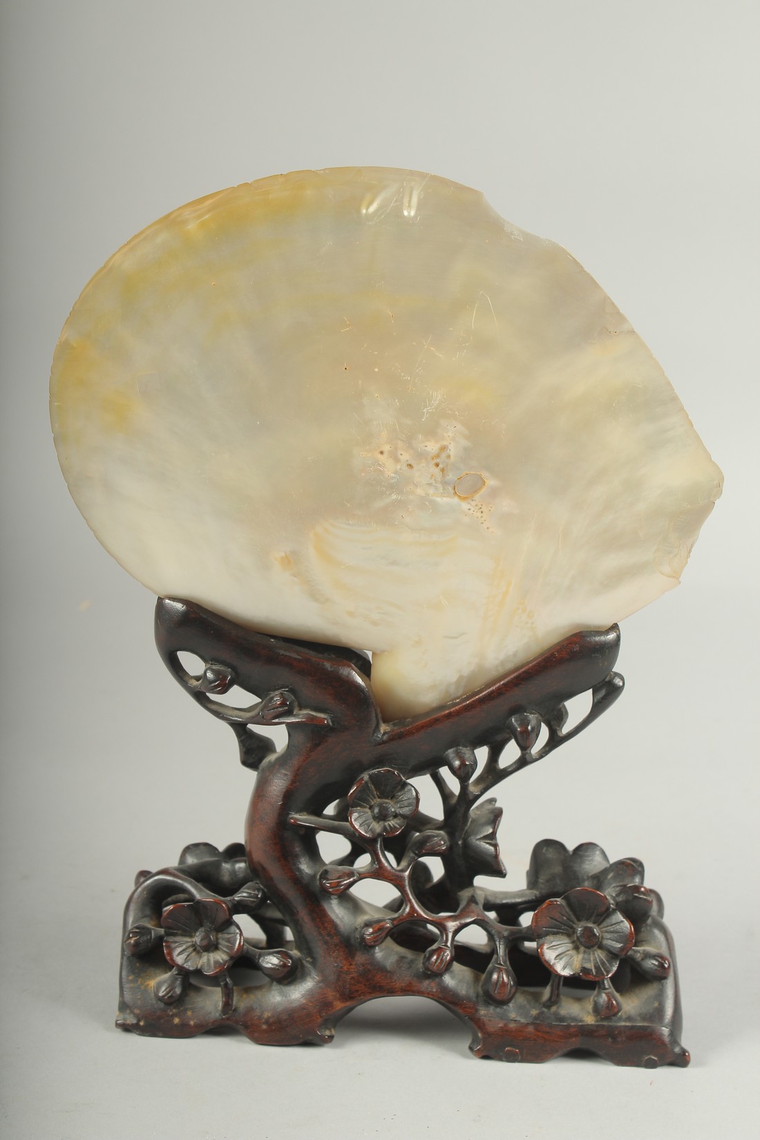 A CHINESE CARVED MOTHER OF PEARL SHELL, on a carved and pierced hardwood stand. - Image 4 of 4