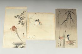 KOSON OHARA (1877-1945): BIRDS AND FLOWERS; three early 20th century Japanese woodblock prints, (