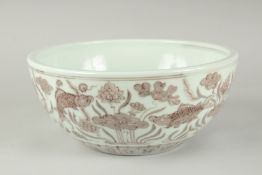 A CHINESE UNDERGLAZE RED AND WHITE PORCELAIN BOWL, painted with fish and algae, 27.5cm diameter.