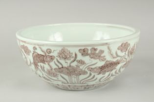 A CHINESE UNDERGLAZE RED AND WHITE PORCELAIN BOWL, painted with fish and algae, 27.5cm diameter.