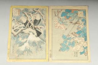 SUGAKUDO NAKAYAMA (act. 1850-1861): FROM THE SERIES ALBUM OF FLOWERS AND BIRDS, 1859; two original